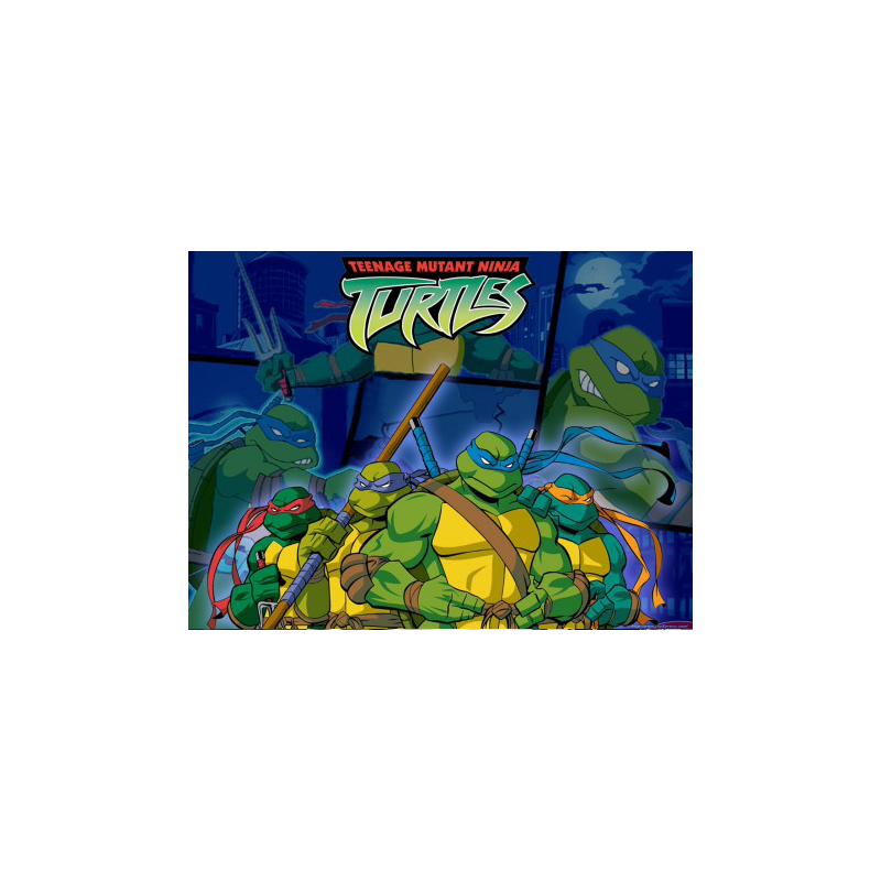 Teenage Mutant Ninja Turtles Cake – Children's Cake with Favorite Characters No. 004-020