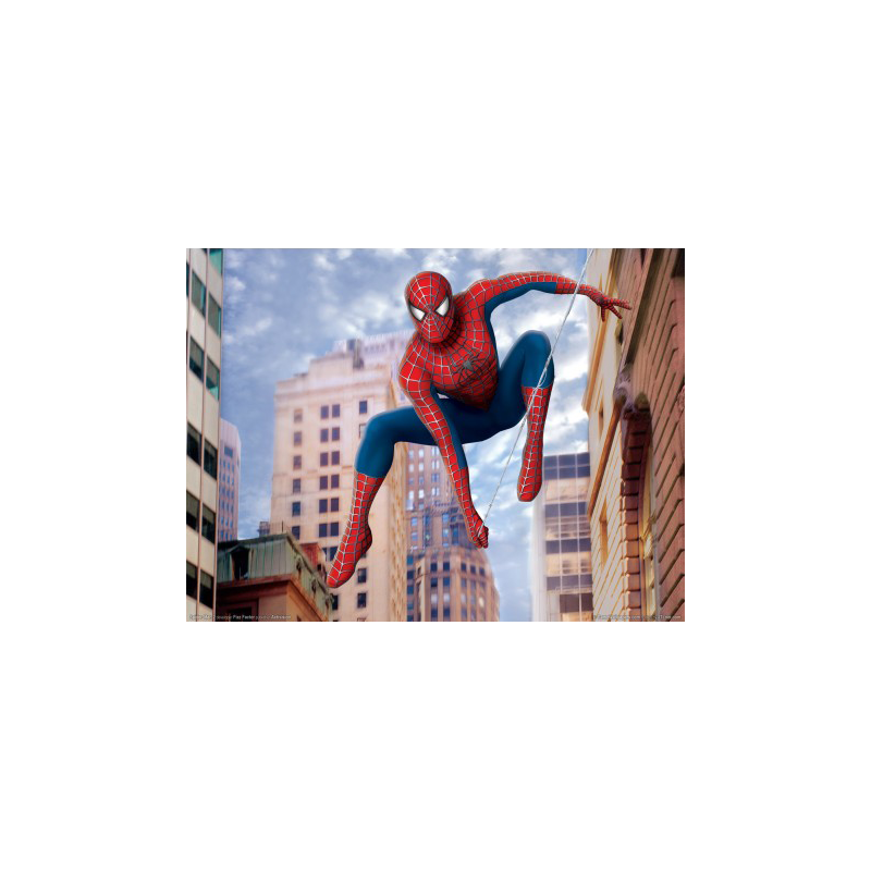 Spiderman in Action Cake – Spectacular City Scene No. 012-017